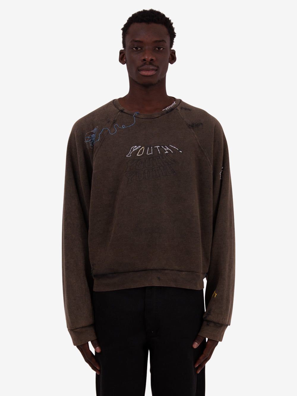 Liberal Youth Ministry – Raphael1966