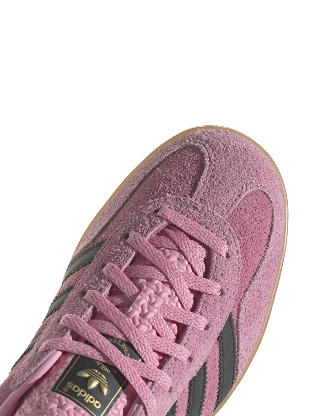 Gazelle Indoor