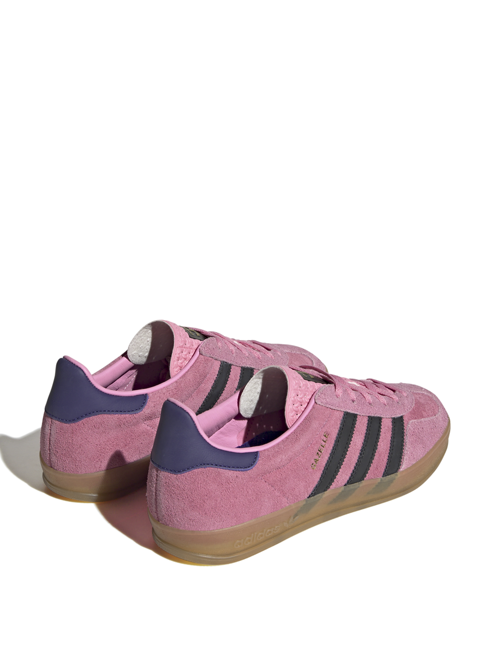 Gazelle Indoor